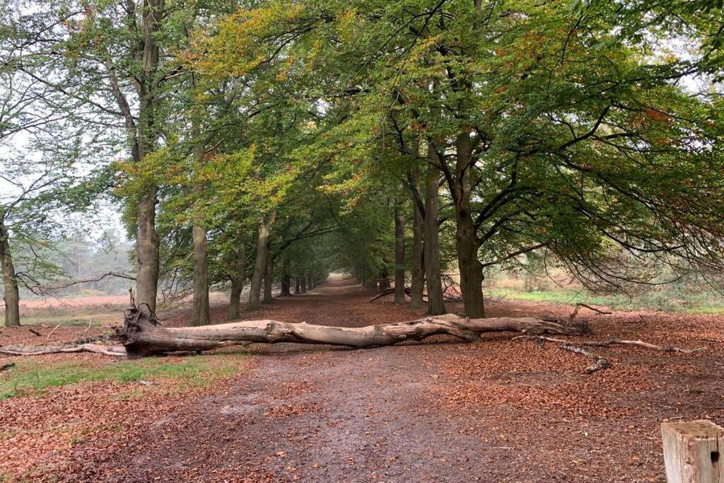 Herberg De Pas Haarle ภายนอก รูปภาพ