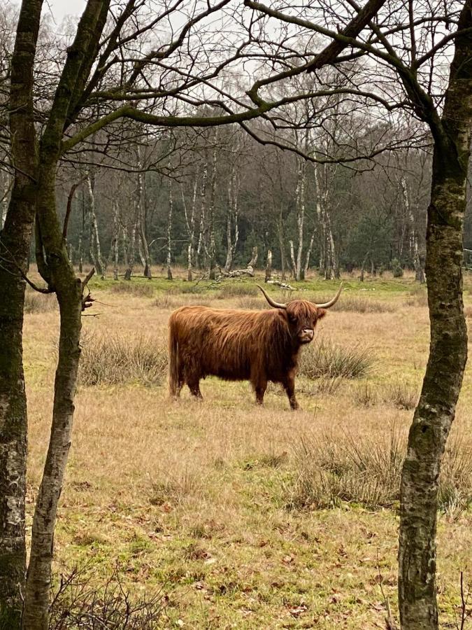 Herberg De Pas Haarle ภายนอก รูปภาพ